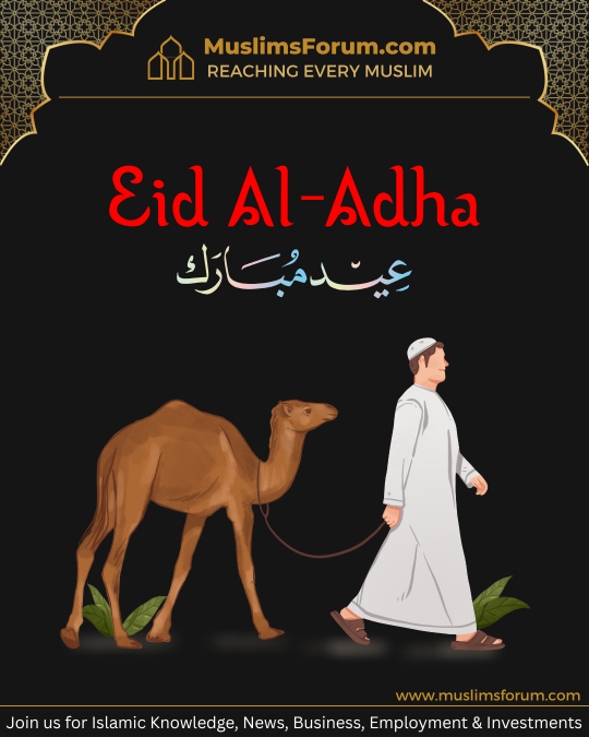 eid-ul-adha-01.png